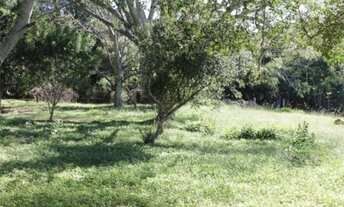Imagem 4: Porto Alegre - Terreno Padrão - Aberta Dos Morros