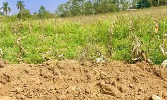 Imagem: Chácaras no interior próximo a Represa