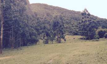 Imagem 4: SÍTIO - SÃO JOÃO DO RIO VERMELHO - SC