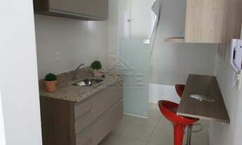 Imagem 5: PIRACICABA - Padrão - Agua Branca