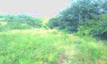 Imagem: Lotes de terreno