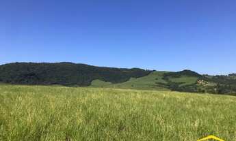 Imagem 4: Fazenda/Sítio/Chácara para venda com 20000 metros quadrados em Lomba Grande - Novo Hamburg