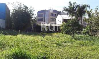 Imagem 4: Porto Alegre - Terreno Padrão - Pedra Redonda