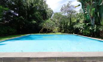 Imagem 5: Chácara Flora, o oassis de Sâo Paulo