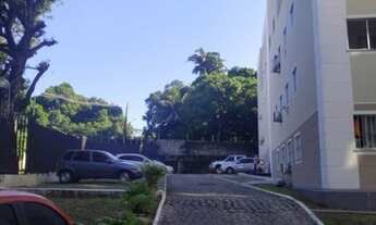 Imagem 2: Vendo Apartamento em Tejipio - Bosque das Palmeiras