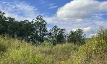 Imagem 7: Terreno para venda tem 20.000 M2