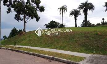 Imagem 4: PORTO ALEGRE - Terreno Padrão - Vila Nova