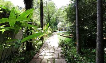 Imagem 7: Chácara Flora, o oassis de Sâo Paulo