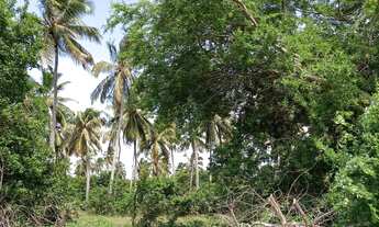 Imagem 4: Terreno em Lucena