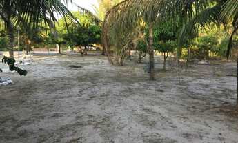 Imagem 4: Vendo sítio Chácara com venda por R$150.000