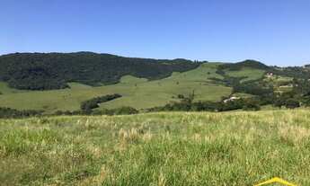 Imagem 7: Fazenda/Sítio/Chácara para venda com 20000 metros quadrados em Lomba Grande - Novo Hamburg