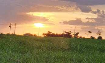 Imagem 3: Area 1500m² - 190.000,00