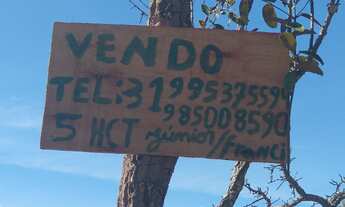 Imagem: Fazendinha 5 Hectares a 16k de 3 Marias