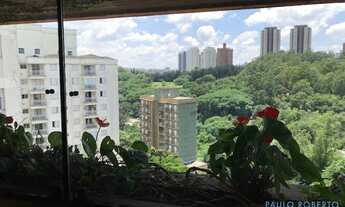 Imagem 6: APARTAMENTO - MORUMBI - SP