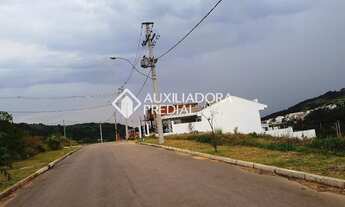 Imagem 6: PORTO ALEGRE - Terreno Padrão - Vila Nova