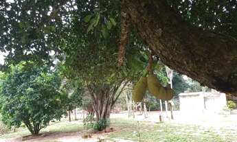 Imagem 6: Sítio a venda em angatuba