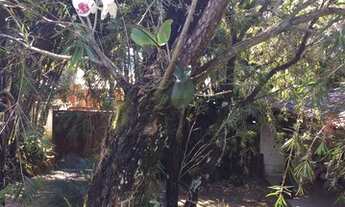 Imagem 6: Um sonho para se realizar