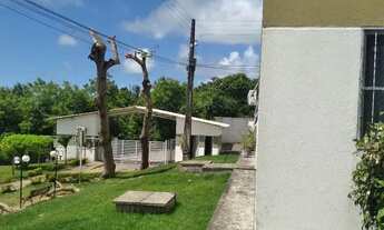 Imagem 4: Apartamento na Serraria