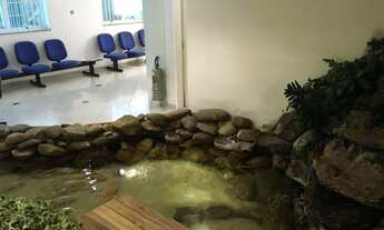 Imagem 7: Sobrado com 11 salas, 440m2 no Jardim Marajoara - São Paulo - SP