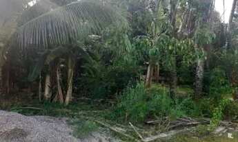 Imagem 2: Granja em oitizeiro