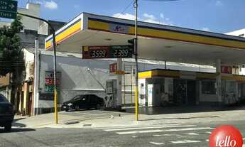 Imagem 2: São Paulo - Terreno Padrão - Bom Retiro