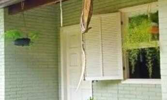 Imagem 3: Linda casa em Paraíba do Sul RJ