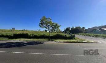 Imagem 6: Terreno em São José