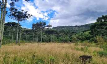 Imagem 5: Terreno rural próximo de Urupema-SC