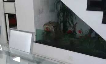 Imagem 2: SAO PAULO - Apartamento padrao - PERDIZES