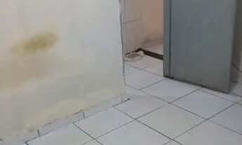 Imagem 5: 650 Casa com 2 dormitórios