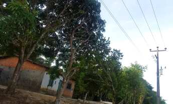 Imagem 5: Vendo sítio com casa no povoado de Bomtempo