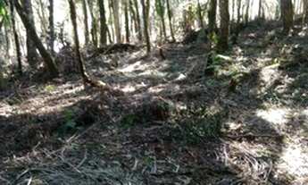 Imagem 5: Excelente área para formar chácara!!!