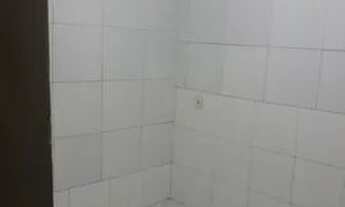 Imagem 7: 550 casa no cordeiro