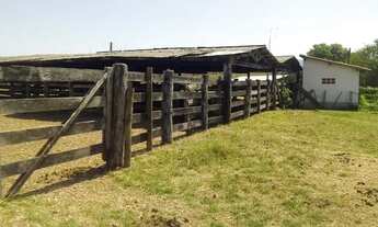 Imagem 7: Fazenda Extra 150 Alqueires - Dupla Aptidão!