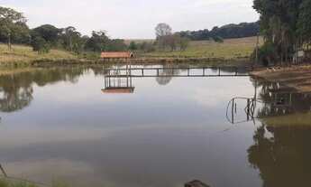 Imagem 3: Fazenda 20 alqueires no Rio Turvo