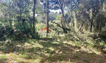Imagem 5: Lote em Avenida Mata Atlântica - Alpes - São Francisco de Paula/RS