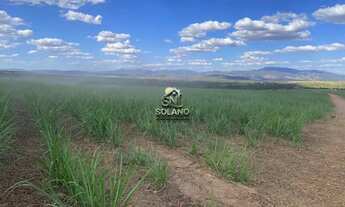 Imagem 4: Fazenda à venda no bairro Centro - Goianésia/GO