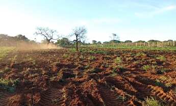 Imagem 4: Chácaras para quem quer sossego ?