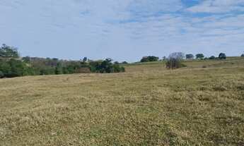 Imagem 7: Sitio em cajuru 6 alqueires 1.500.000.00 ( d