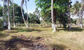 Imagem 2: Terreno no Povoado Riacho Velho em Marechal Deodoro, Alagoas- Medindo 10.843 m2
