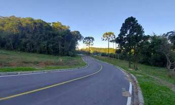 Imagem 4: Terreno à venda, 1.060 m2 por R 559.000,00 - Rondinha - Campo Largo PR