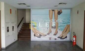 Imagem 16: Estrada dos Romeiros - BARUERI