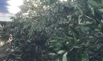 Imagem: CHACARA A VENDA