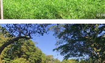 Imagem 3: Vende-se uma excelente fazenda de 1.402 hectares