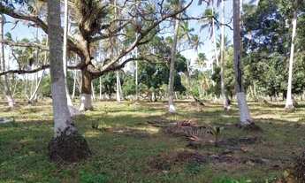 Imagem 5: Terreno no Povoado Riacho Velho em Marechal Deodoro, Alagoas- Medindo 10.843 m2