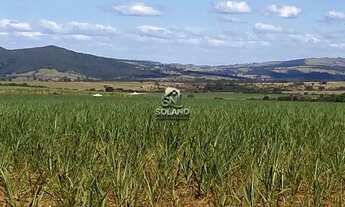 Imagem: Fazenda à venda no bairro Centro - Goianésia/GO
