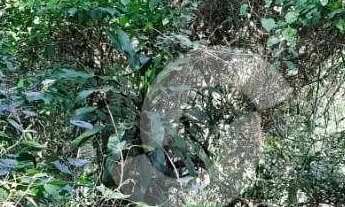 Imagem 2: Terreno à venda, 760 m² por R$ 372.096,00 - Engenho do Mato - Niterói/RJ