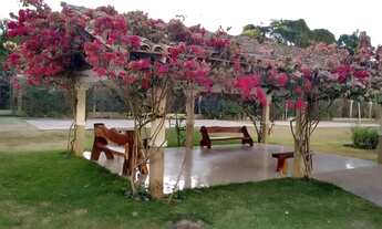 Imagem: Apto Próximo parque municipal Espaço de