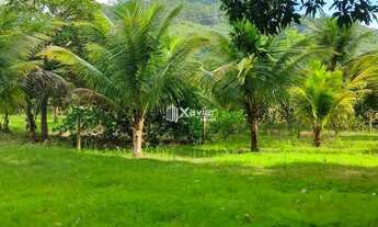 Imagem 7: Sítio com 19.000 m² à venda em Iguape, Guarapari/ES - Casa com varanda, lagoa, área gourme