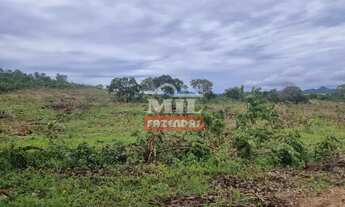 Imagem 3: Fazenda 140 alqueires (677 Hectares) Colinas Do Sul - Go